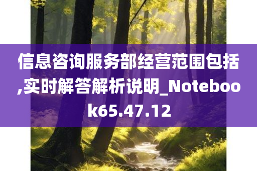 信息咨询服务部经营范围包括,实时解答解析说明_Notebook65.47.12