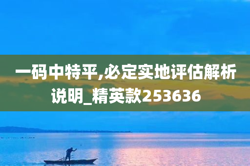 一码中特平,必定实地评估解析说明_精英款253636