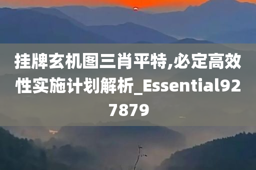 挂牌玄机图三肖平特,必定高效性实施计划解析_Essential927879