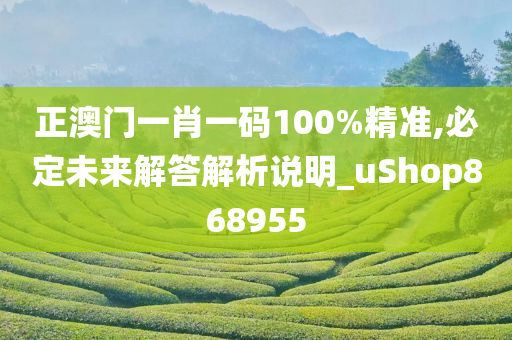 正澳门一肖一码100%精准,必定未来解答解析说明_uShop868955