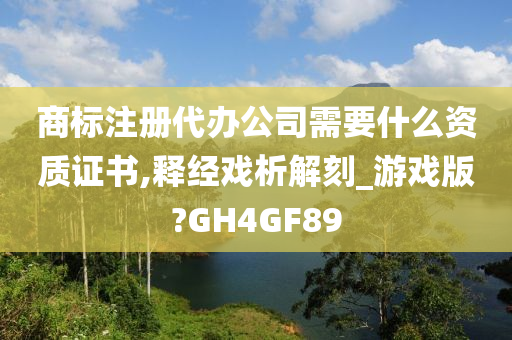 商标注册代办公司需要什么资质证书,释经戏析解刻_游戏版?GH4GF89