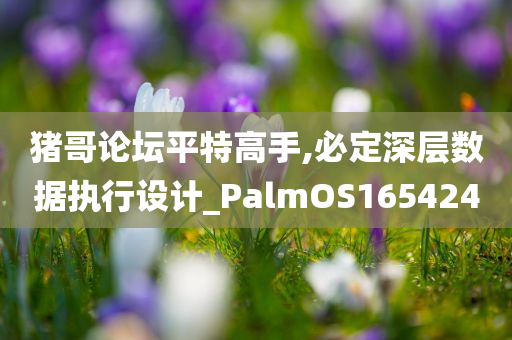 猪哥论坛平特高手,必定深层数据执行设计_PalmOS165424