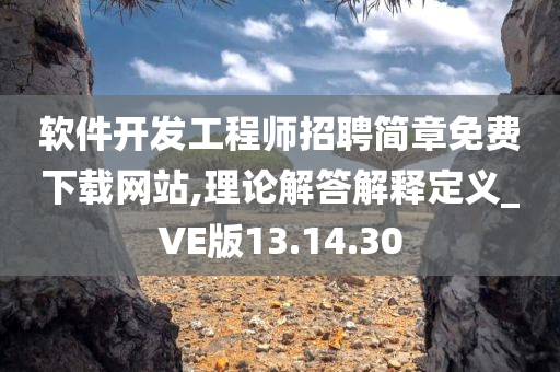 软件开发工程师招聘简章免费下载网站,理论解答解释定义_VE版13.14.30