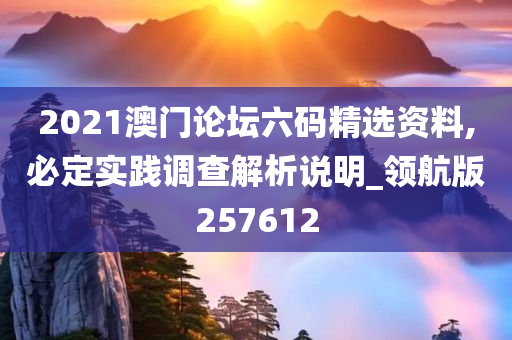 2021澳门论坛六码精选资料,必定实践调查解析说明_领航版257612