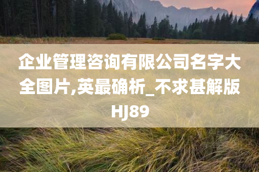 企业管理咨询有限公司名字大全图片,英最确析_不求甚解版HJ89