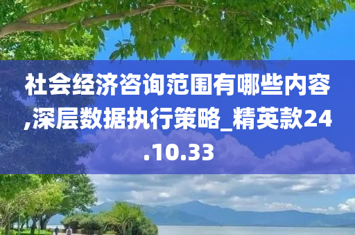 社会经济咨询范围有哪些内容,深层数据执行策略_精英款24.10.33