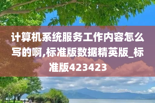 计算机系统服务工作内容怎么写的啊,标准版数据精英版_标准版423423