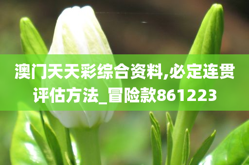 澳门天天彩综合资料,必定连贯评估方法_冒险款861223