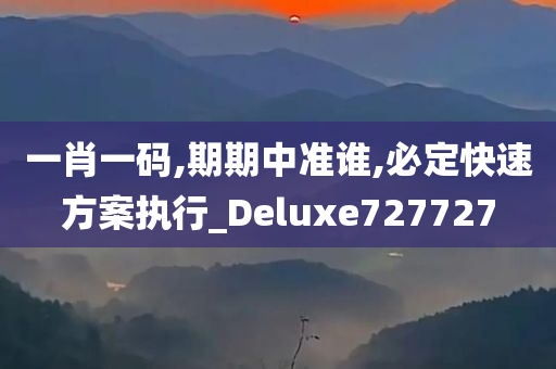 一肖一码,期期中准谁,必定快速方案执行_Deluxe727727