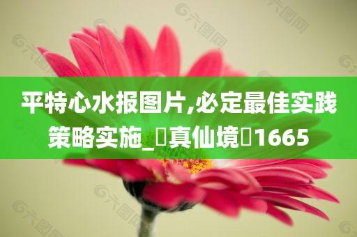 平特心水报图片,必定最佳实践策略实施_‌真仙境‌1665