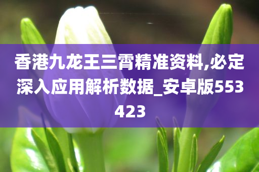 香港九龙王三霄精准资料,必定深入应用解析数据_安卓版553423