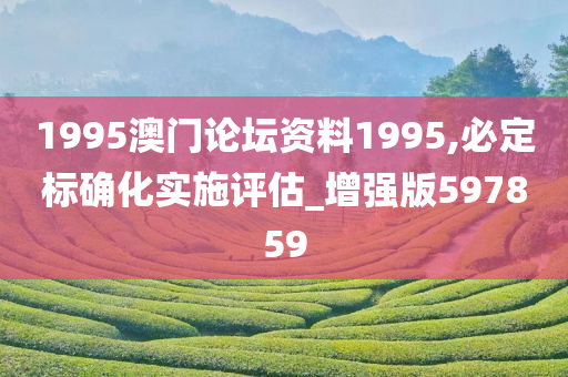 1995澳门论坛资料1995,必定标确化实施评估_增强版597859