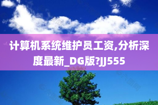 计算机系统维护员工资,分析深度最新_DG版?JJ555