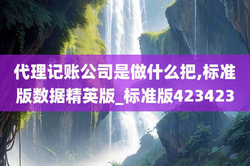 代理记账公司是做什么把,标准版数据精英版_标准版423423