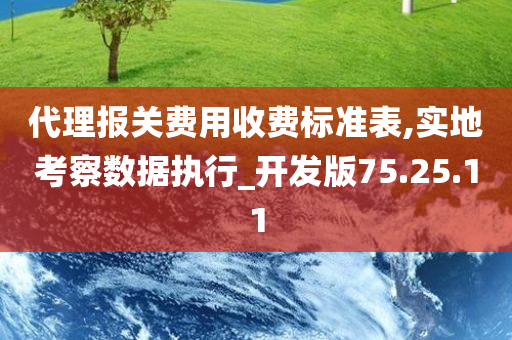 代理报关费用收费标准表,实地考察数据执行_开发版75.25.11