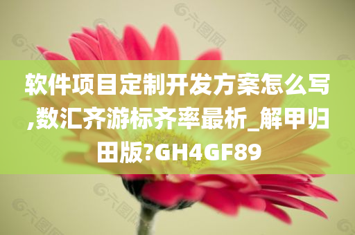 软件项目定制开发方案怎么写,数汇齐游标齐率最析_解甲归田版?GH4GF89