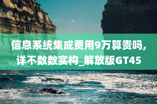 信息系统集成费用9万算贵吗,详不数数实构_解放版GT45