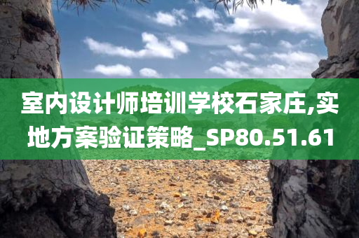 室内设计师培训学校石家庄,实地方案验证策略_SP80.51.61