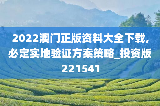 2022澳门正版资料大全下载,必定实地验证方案策略_投资版221541