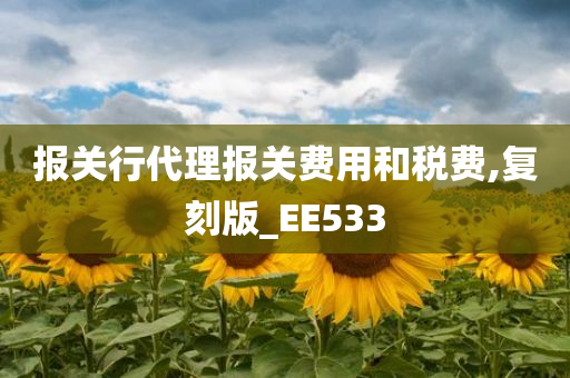 报关行代理报关费用和税费,复刻版_EE533