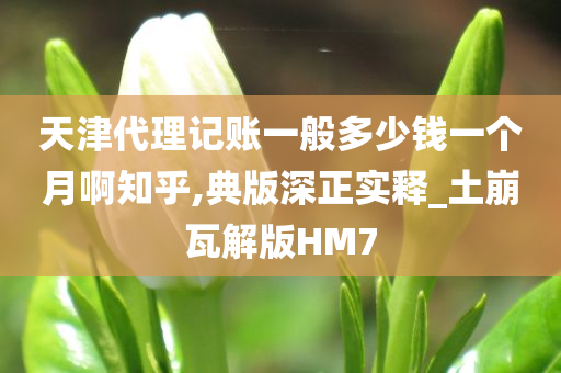 天津代理记账一般多少钱一个月啊知乎,典版深正实释_土崩瓦解版HM7