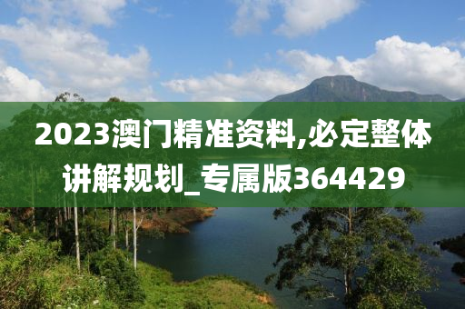 2023澳门精准资料,必定整体讲解规划_专属版364429