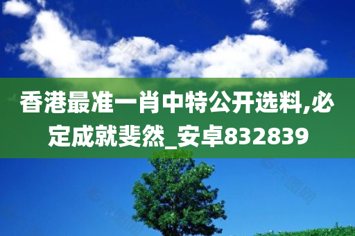 香港最准一肖中特公开选料,必定成就斐然_安卓832839