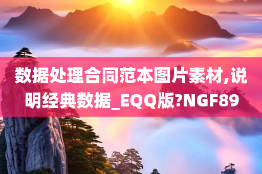 数据处理合同范本图片素材,说明经典数据_EQQ版?NGF89