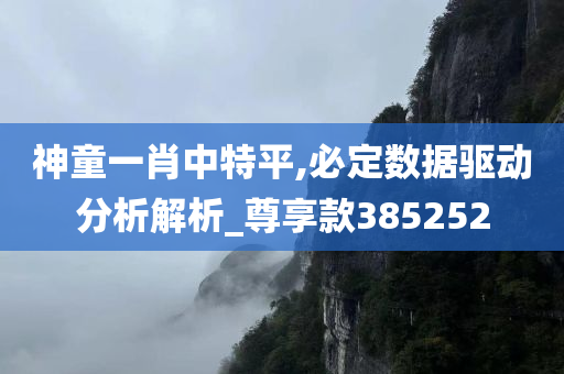 神童一肖中特平,必定数据驱动分析解析_尊享款385252