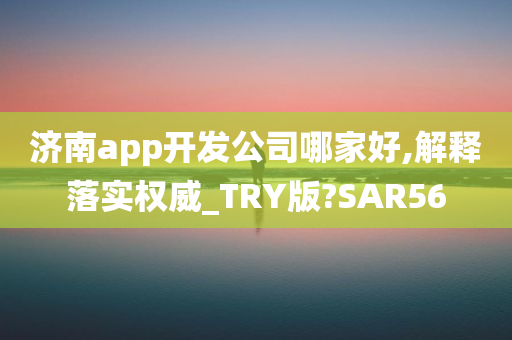 济南app开发公司哪家好,解释落实权威_TRY版?SAR56