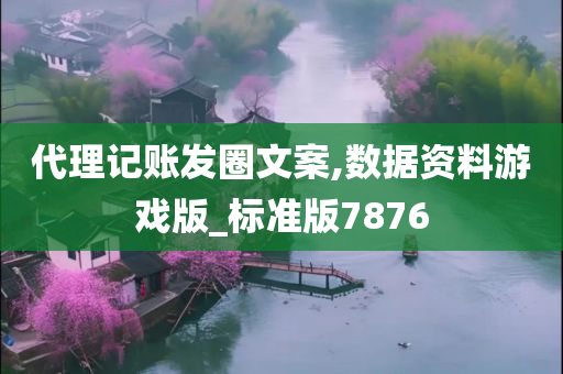 代理记账发圈文案,数据资料游戏版_标准版7876