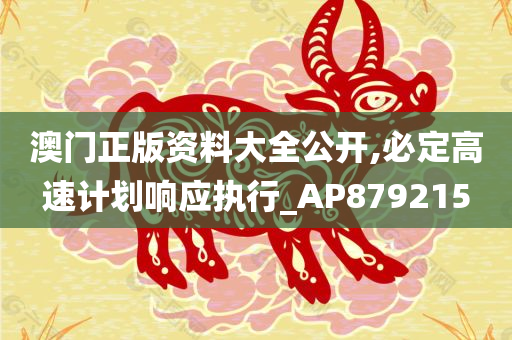 澳门正版资料大全公开,必定高速计划响应执行_AP879215