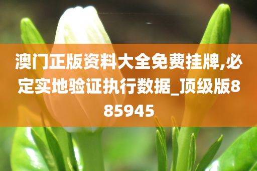 澳门正版资料大全免费挂牌,必定实地验证执行数据_顶级版885945