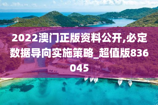 2022澳门正版资料公开,必定数据导向实施策略_超值版836045