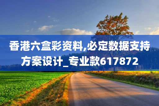 香港六盒彩资料,必定数据支持方案设计_专业款617872