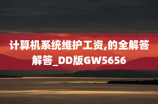 计算机系统维护工资,的全解答解答_DD版GW5656