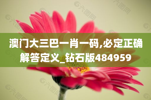 澳门大三巴一肖一码,必定正确解答定义_钻石版484959