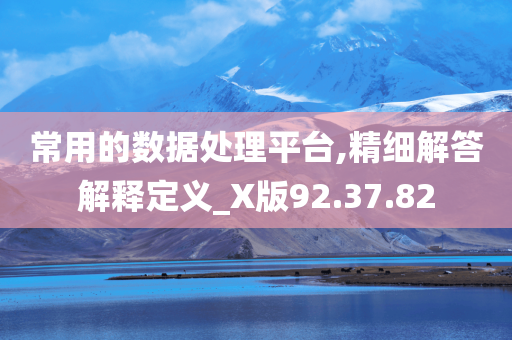 常用的数据处理平台,精细解答解释定义_X版92.37.82