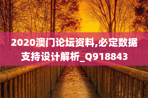 2020澳门论坛资料,必定数据支持设计解析_Q918843