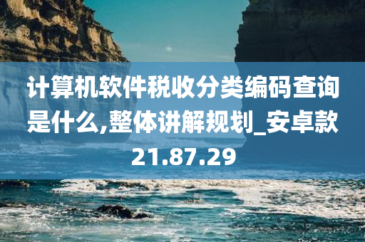 计算机软件税收分类编码查询是什么,整体讲解规划_安卓款21.87.29