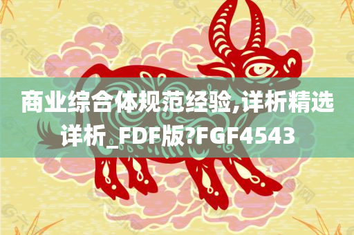 商业综合体规范经验,详析精选详析_FDF版?FGF4543