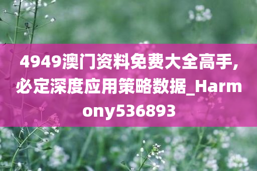 4949澳门资料免费大全高手,必定深度应用策略数据_Harmony536893