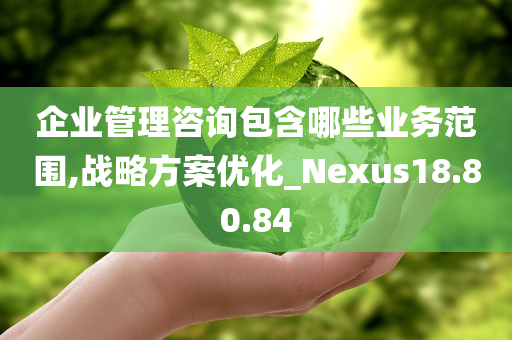 企业管理咨询包含哪些业务范围,战略方案优化_Nexus18.80.84