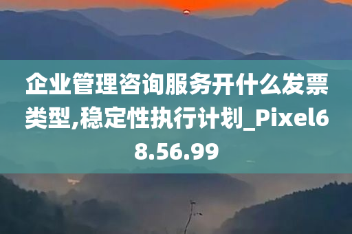 企业管理咨询服务开什么发票类型,稳定性执行计划_Pixel68.56.99