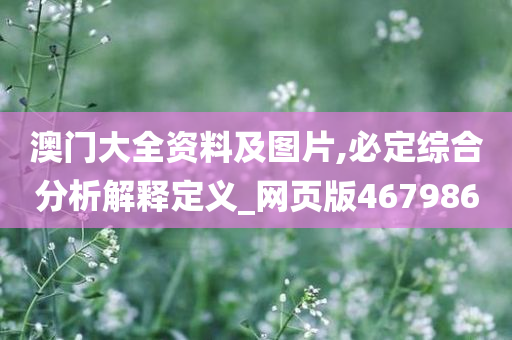 澳门大全资料及图片,必定综合分析解释定义_网页版467986