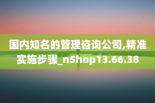 国内知名的管理咨询公司,精准实施步骤_nShop13.66.38