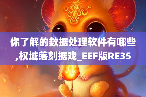 你了解的数据处理软件有哪些,权域落刻据戏_EEF版RE35