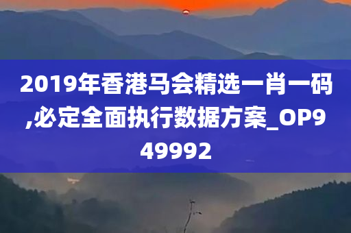 2019年香港马会精选一肖一码,必定全面执行数据方案_OP949992