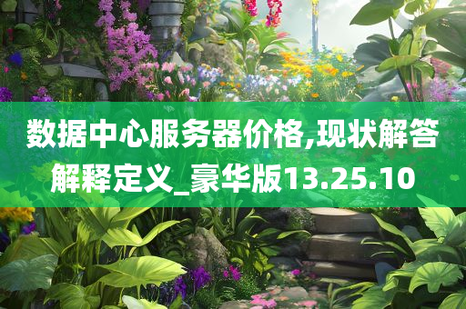 数据中心服务器价格,现状解答解释定义_豪华版13.25.10