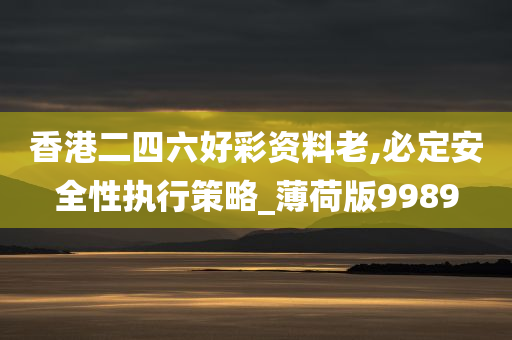 香港二四六好彩资料老,必定安全性执行策略_薄荷版9989